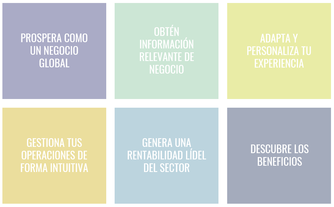 SAGE X3 BENEFICIOS_VERNE TECH