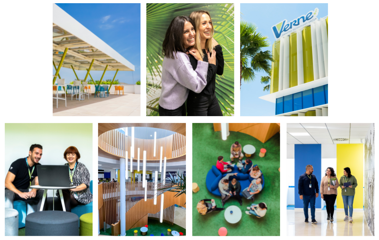 Compromiso sostenible _ equipo Verne Group
