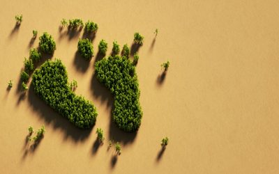 La importancia de reducir la huella de carbono en tu empresa