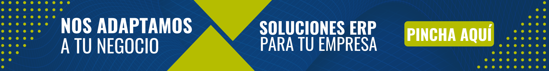 soluciones erp adaptadas a tu empresa