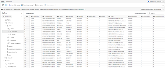 panel-sql-analytics-endpoint